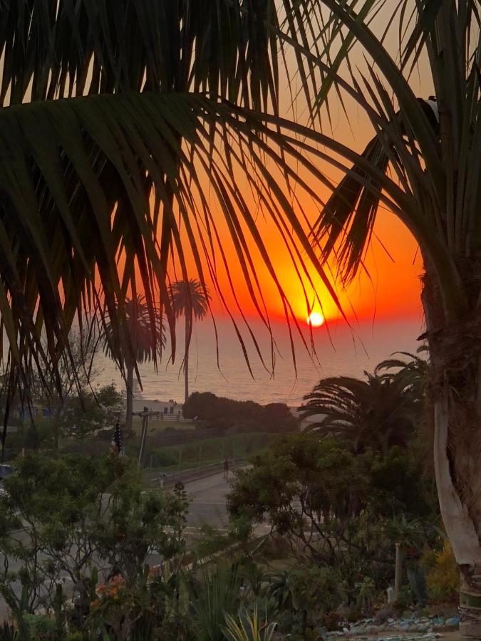 Moonlight Beach Motel Encinitas Luaran gambar